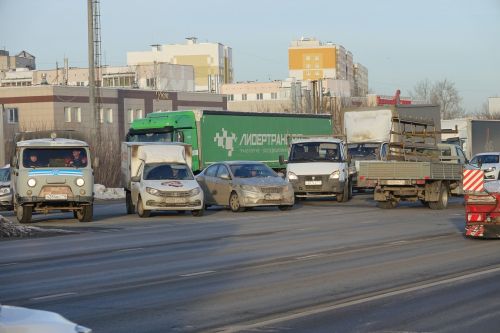 «Стоят, как стадо баранов»