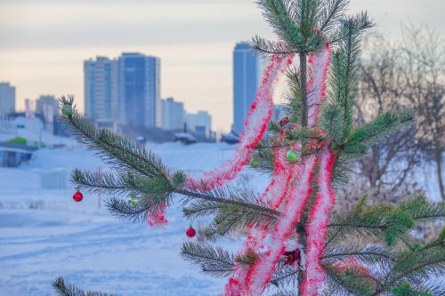 Лепка пельменей, елка до февраля, фильмы при свечах