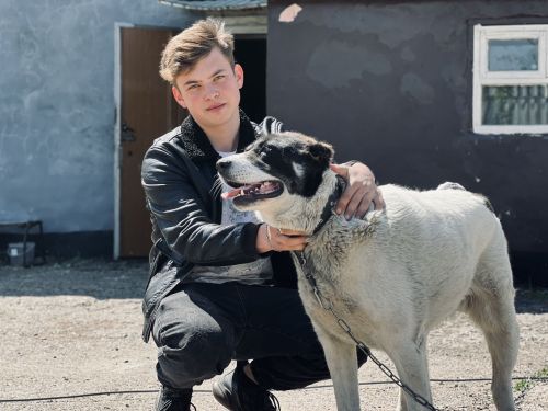 Ангел для собак: юный Зуфар Сулейманов спас несколько сотен бездомных животных