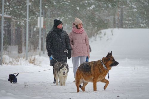 Измена для Снегурочки и Новый год с медсестрами