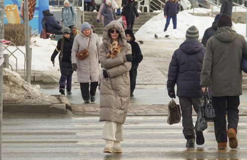 Чипирование на дом: о чем переживают владельцы, и есть ли очередь «на укол»