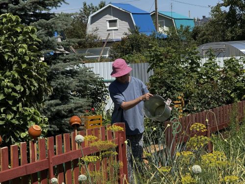 «15-20 процентов дач не используются»: ответы на самые острые вопросы садоводов