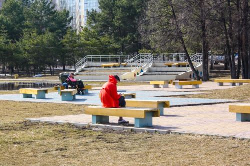 Земля – не больше гектара: какое имущество можно иметь для получения единого пособия
