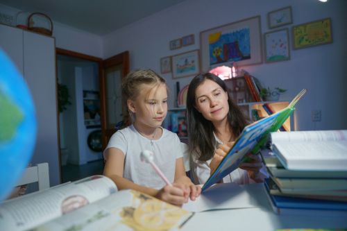 «Предприниматель, а не учитель»: сколько зарабатывает репетитор в Челнах