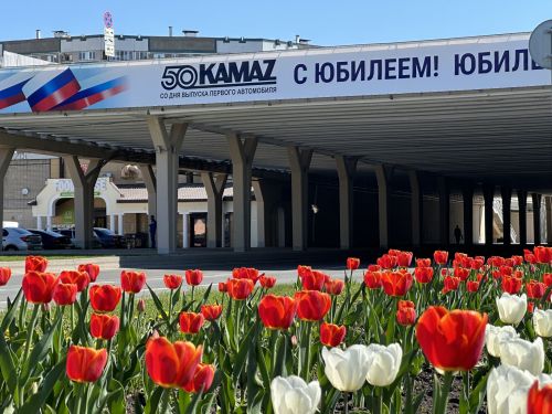 Набережные Челны зацвели: черемуха, тюльпаны и одуванчики
