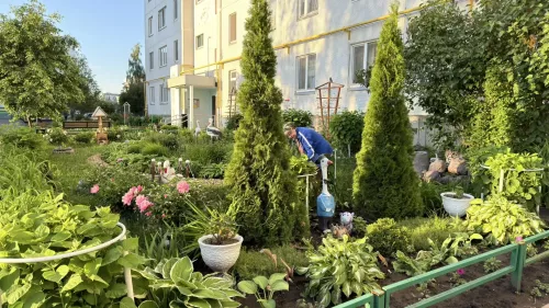 Кот ученый и вишневый сад: дворы Челнов превратились в Лукоморье