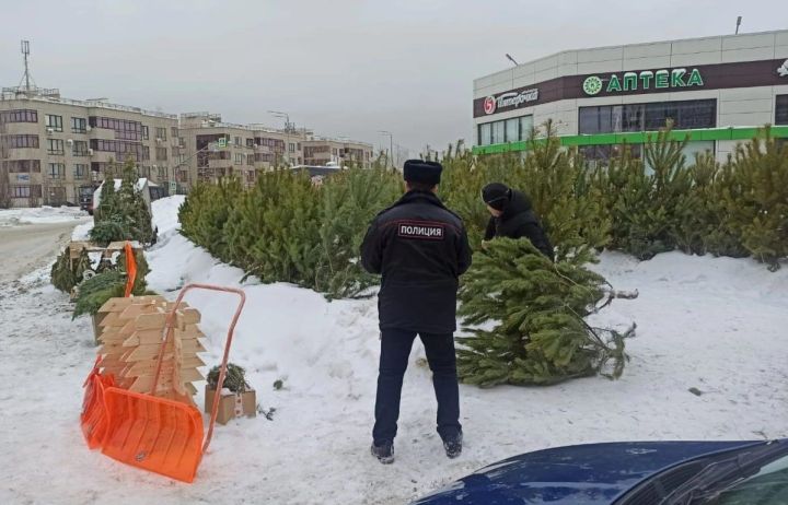 В Челнах накрыли три несанкционированных елочных базара