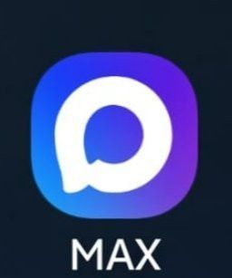 Max вместо WhatsApp*: в Челнах переход в новый мессенджер идет постепенно