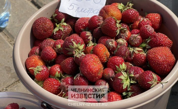 В Набережных Челнах подорожала садовая клубника В Набережных Челнах подорожала садовая клубника