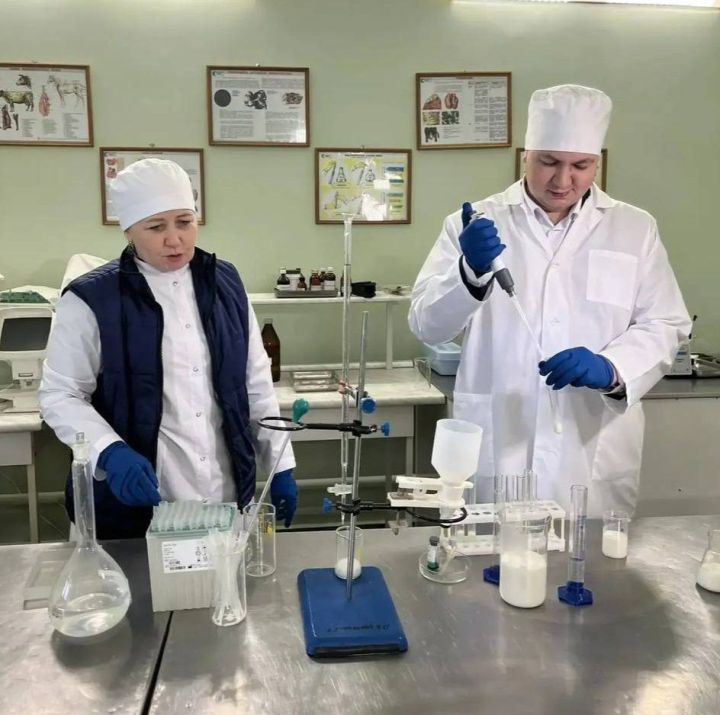 Вода, порошок и перекись водорода: как в Татарстане подделывают молоко