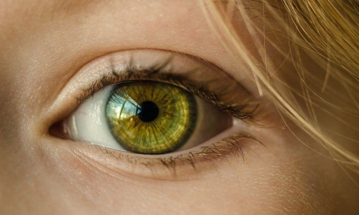 Названы три продукта, которые помогают сохранить хорошее зрение