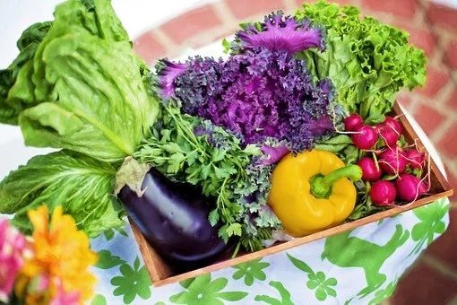 Названы 5 овощей, с которыми не похудеешь