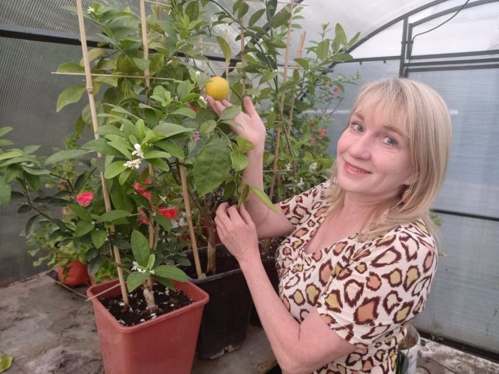 Жительница Татарстана выращивает в теплице у дома бананы и апельсины