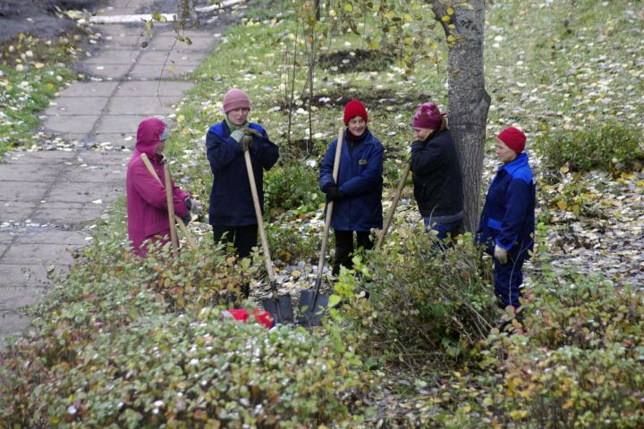 Мэры комплексов в Челнах  ходят по судам и сажают елки