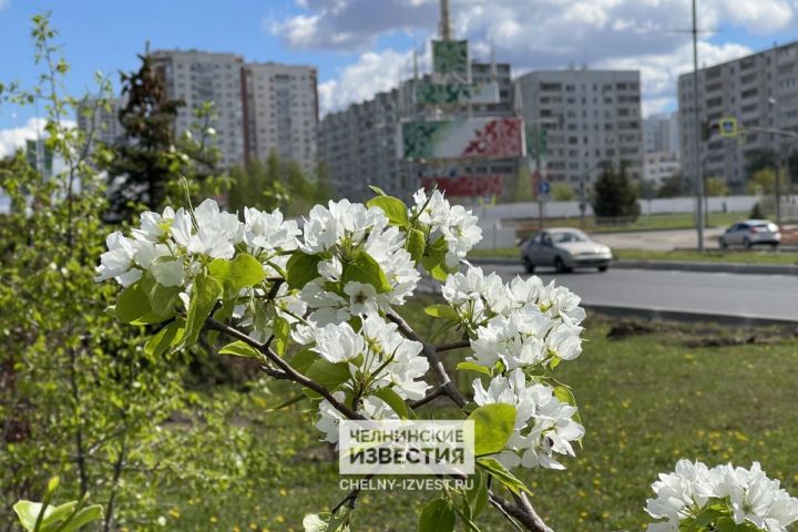 В Татарстан придет летнее тепло