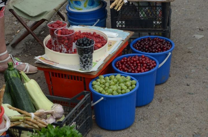 Хитрые бабушки: все ли овощи, что продают на уличных пятачках, дачные