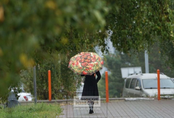 Осень сломалась: в Татарстане вновь обещают до +20 градусов