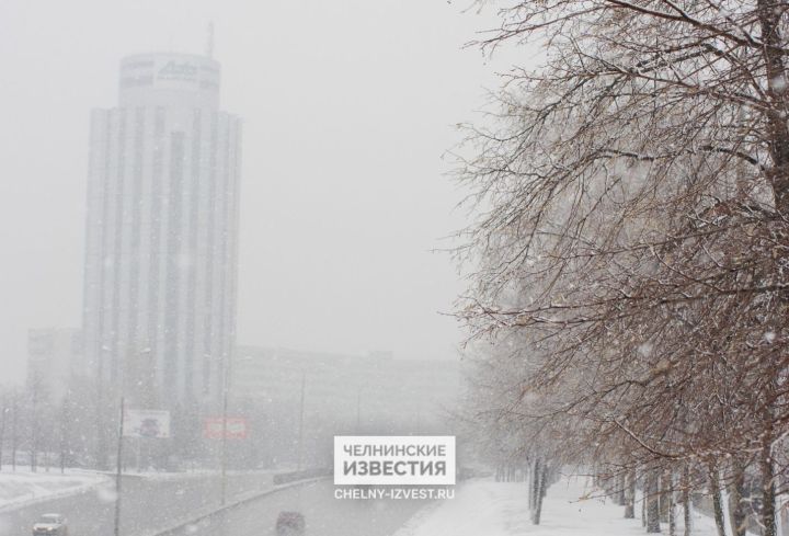 Зимы ждала природа: придут ли в Татарстан московские снегопады