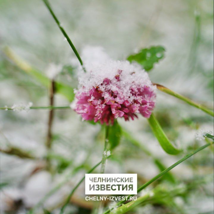 Ледяной ветер и метель: в Татарстане ухудшится погода