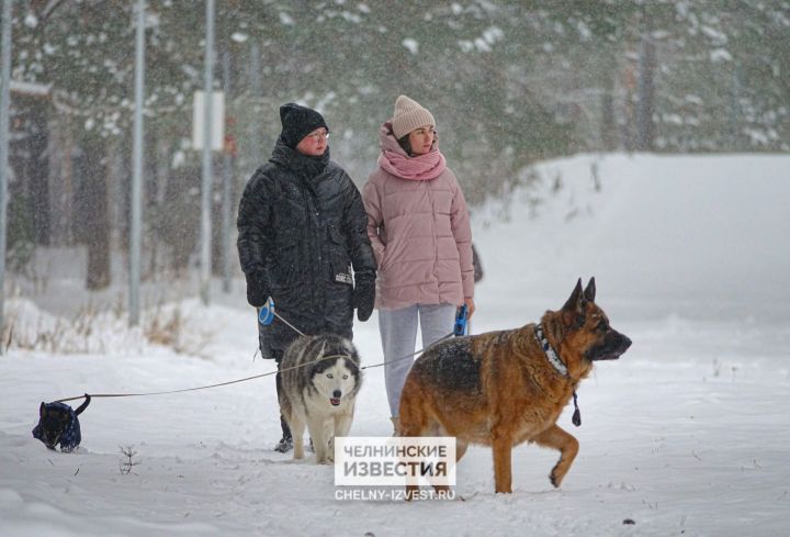 Профессор КФУ Переведенцев: в Татарстан придет оттепель