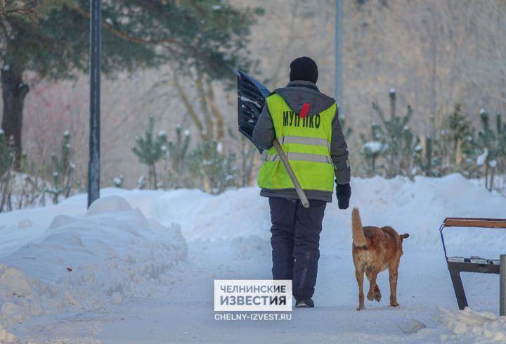 Пасмурный и теплый день обещают завтра в Челнах