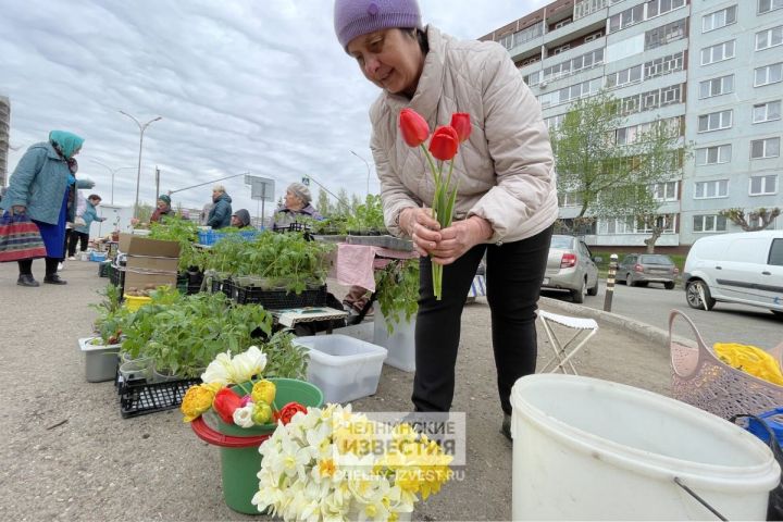 Дачники начали продавать первые весенние цветы