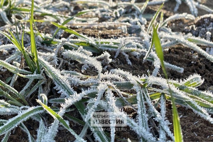 Синоптики Татарстана вновь предупредили о сильных заморозках