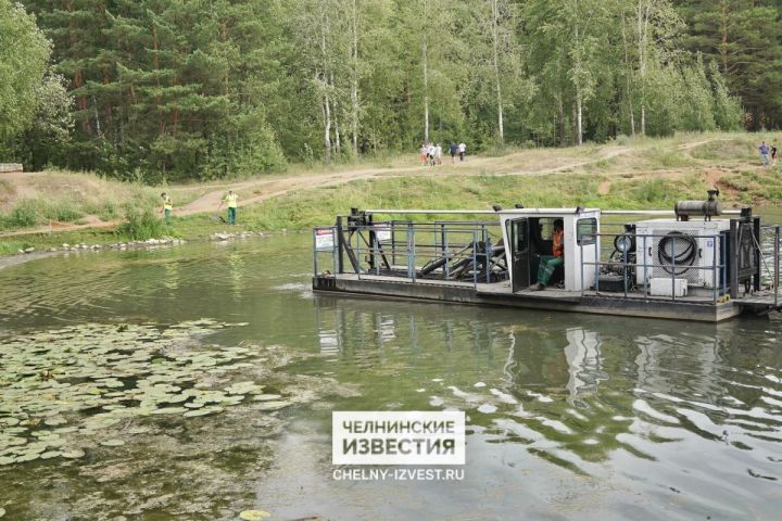 Специалисты рассказали, что стало с бобрами в озере парка Прибрежный