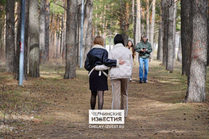 Архитекторы пояснили, приносят ли вред парку брусчатые дорожки