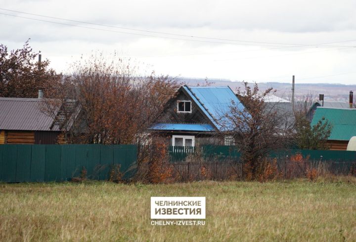 Календарь огородника: когда осенью нужно поливать деревья и кустарники на даче