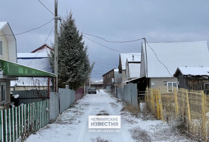 В этом году на дачных участках челнинцев ожидается нашествие белокрылок и тли