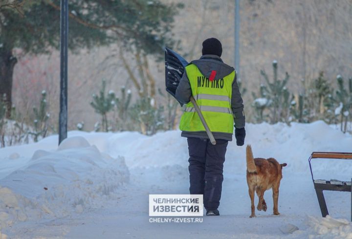 Весна в январе: в Татарстане ожидается плюсовая температура