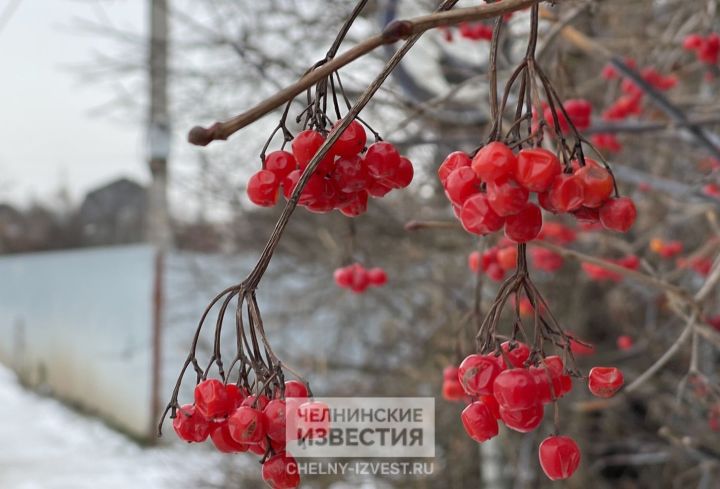 Гидрометцентр дал прогноз погоды в Татарстане на отопительный период