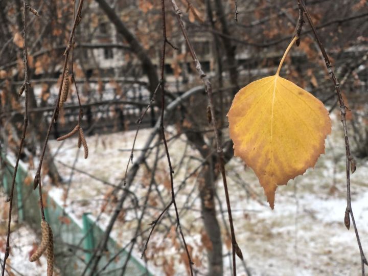 Первый снег обещают в Татарстане