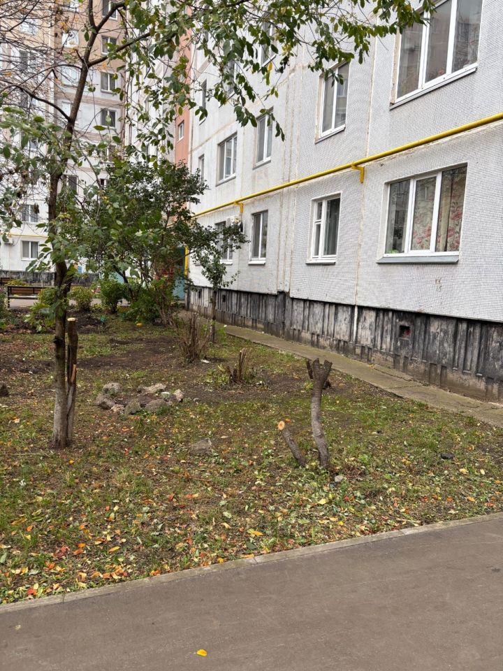 В Челнах жители самовольно спили деревья у многоквартирного дома В Челнах жители самовольно спили деревья у многоквартирного дома