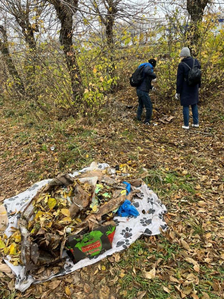 В Челнах бездомные провели субботник на месте, захламленном их «коллегами»