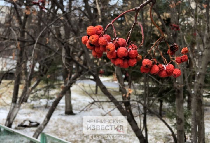 Метеоролог КФУ назвал сроки появления постоянного снежного покрова