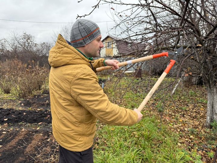Зимовка дачи: как защитить деревья, растения и инвентарь