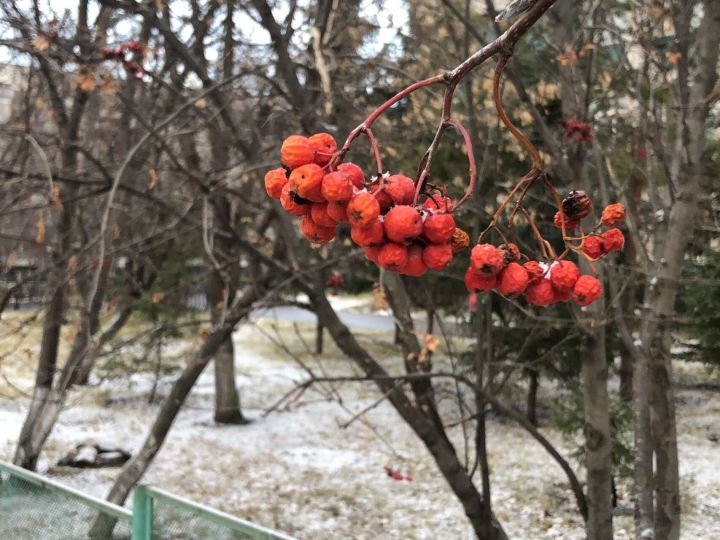 В Набережных Челнах завтра обещают снег