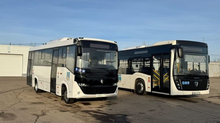 Зимний колер: на маршрутах Челнов появятся белые автобусы