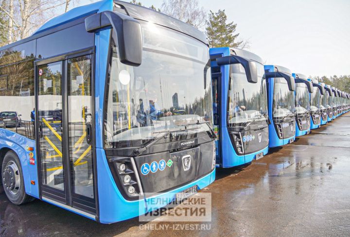 «Горкоммунхоз» объяснил, почему на маршруте №8 оставили малогабаритные автобусы