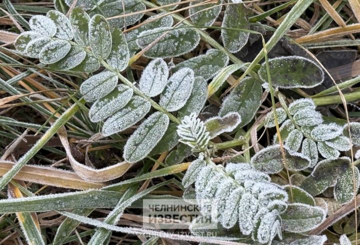 Мокрый снег и гололед: в Татарстан робко идет зима