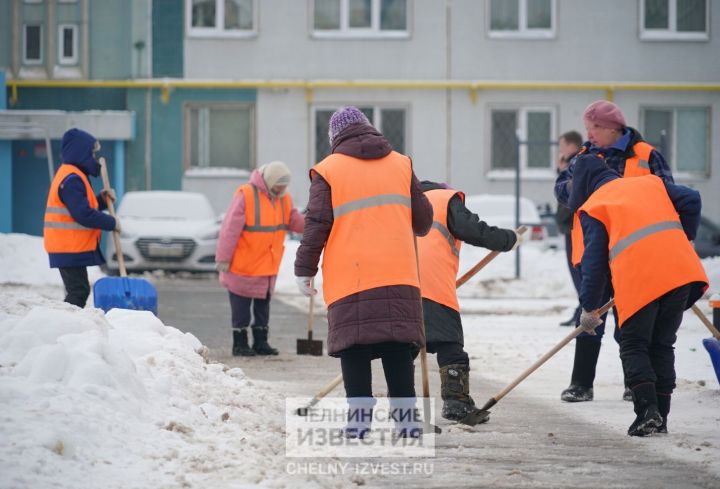 Гранитная крошка или соль: эксперт КФУ рассказала о борьбе с гололедом