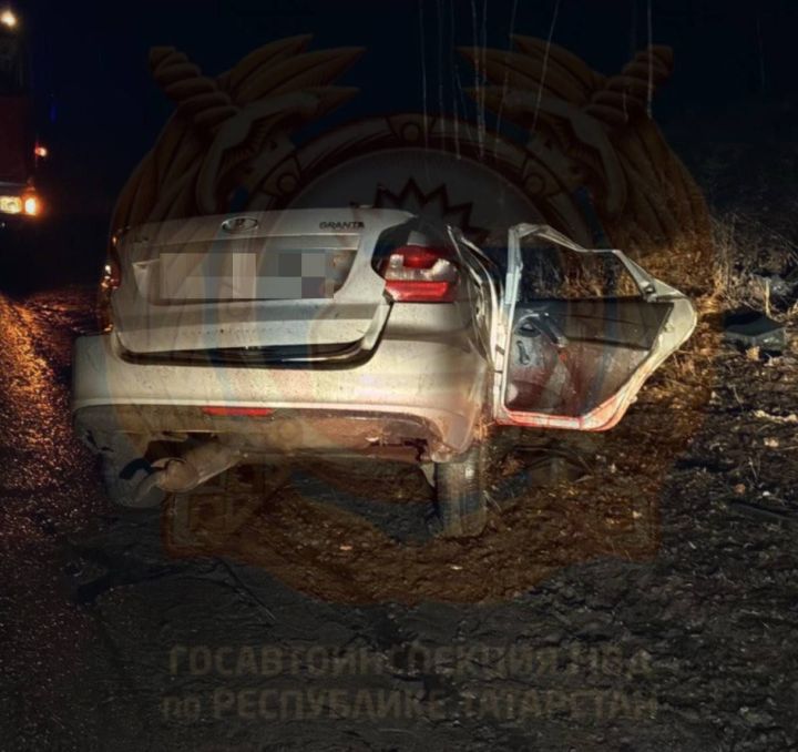 Влетели в дерево: пьяный 18-летний водитель устроил смертельное ДТП