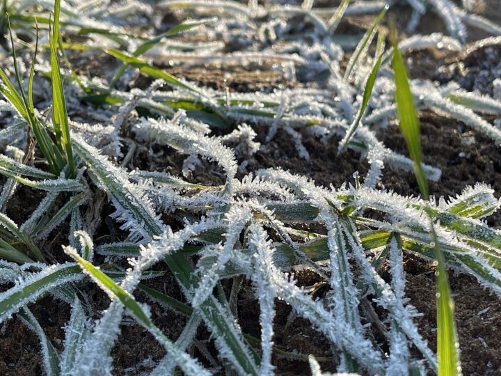 Татарстанцев предупредили о ночных заморозках, гололедице и тумане