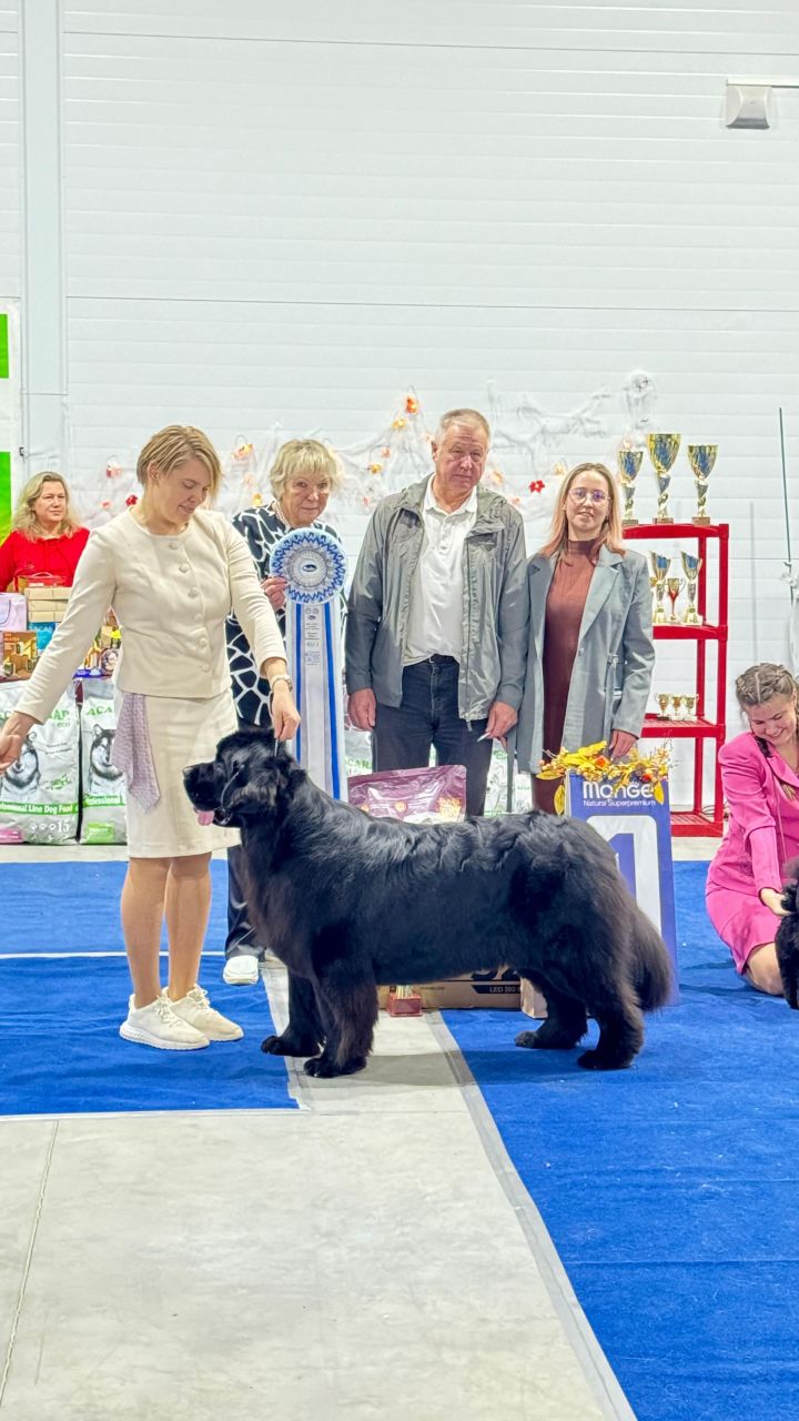 В Челнах на конкурсе красоты собака завоевала плазменный телевизор