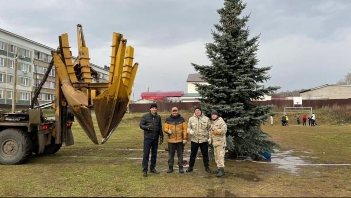Житель Тукаевского района подарил поселению ель, которую выращивал 25 лет
