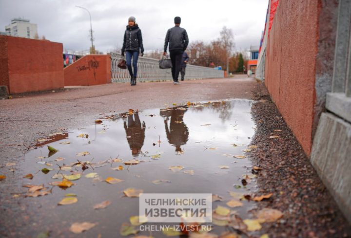 Дожди, мокрый снег и аномальное тепло обещают в Татарстане