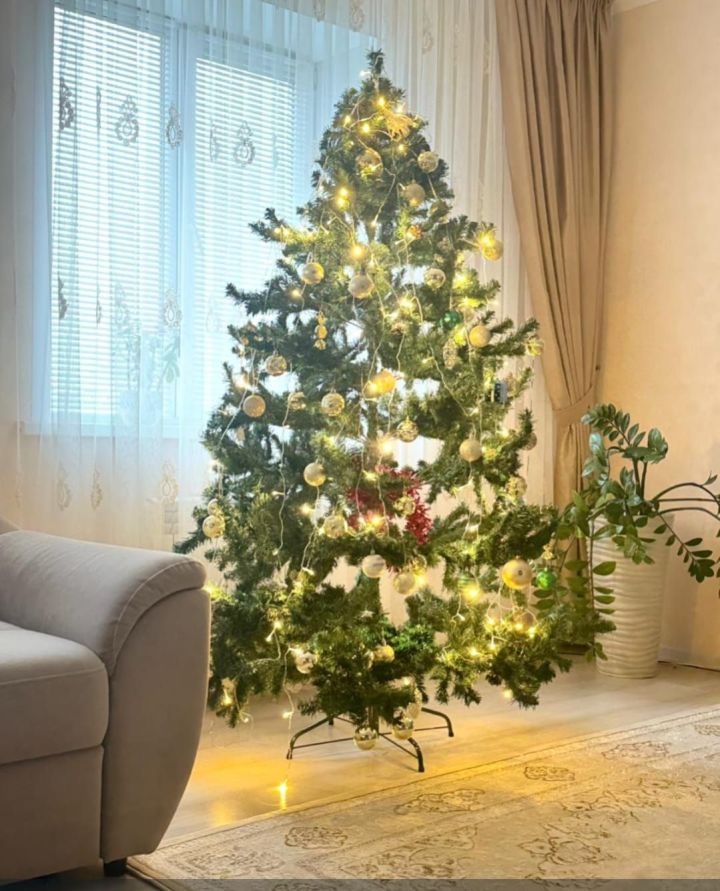 Челнинцы ставят новогодние елки в ноябре