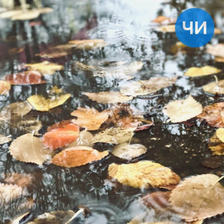 Зима взяла тайм-аут: в Татарстане сохранится аномально теплая погода